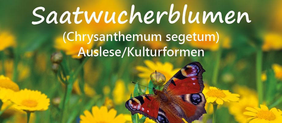SaatgutManufaktur SaatgutManufaktur